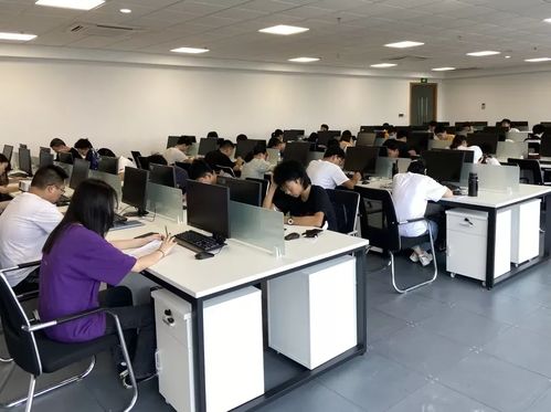 湄洲湾职业技术学院东软现代产业学院非学历职业技能培训招生简章