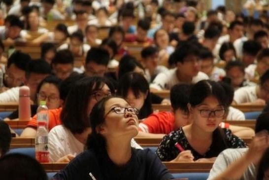 双非女硕士求职困境背后的教育与就业反思